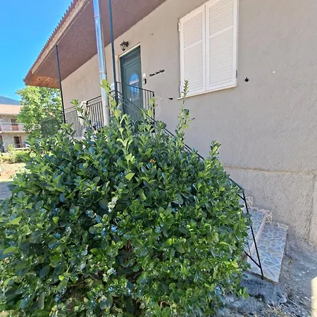 شقة Mainalo View House *