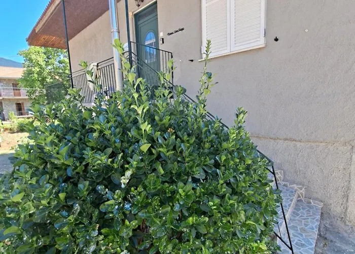 Appartement Mainalo View House *